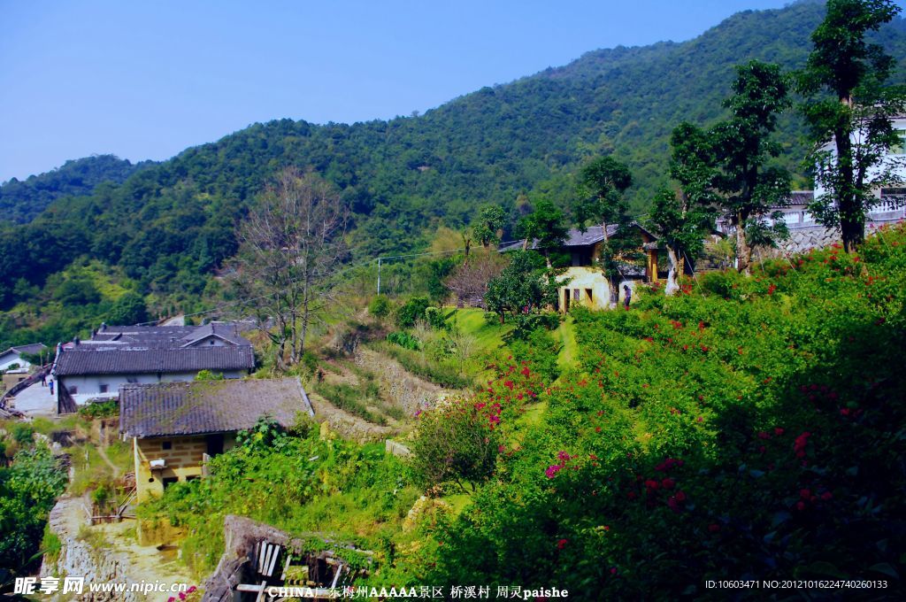 雁南飞 旅途风景