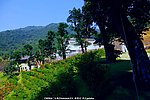 雁南飞 桥溪风景