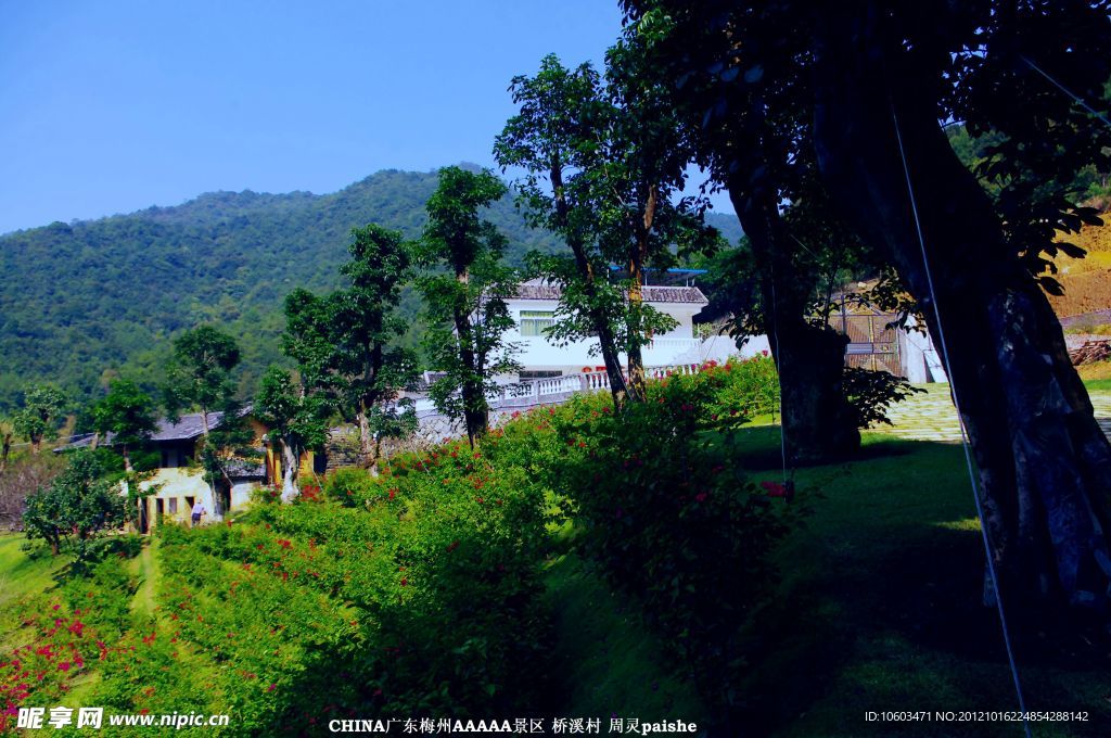 雁南飞 桥溪风景