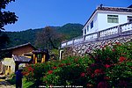 雁南飞 桥溪民俗村