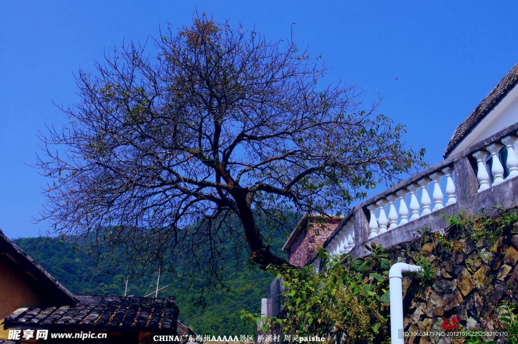 雁南飞 桥溪风景