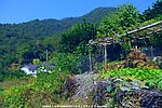 雁南飞 桥溪风景