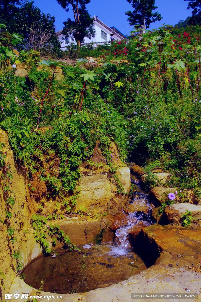 雁南飞 桥溪风景