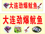 大连劲爆鱿鱼