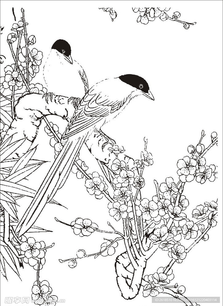 花鸟画矢量图 工笔画矢量图