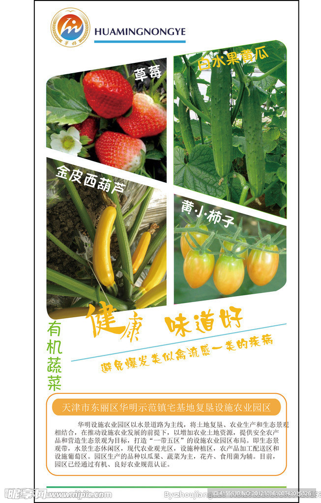 蔬菜易拉宝