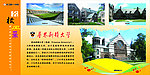 普林斯顿大学