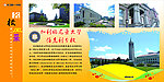 加利福尼亚大学