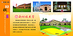 斯坦福大学