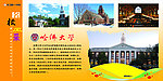 哈佛大学
