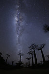 夜空