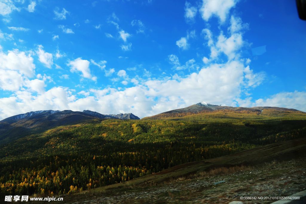 喀纳斯美景