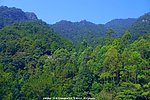 桥溪山水 雁南飞