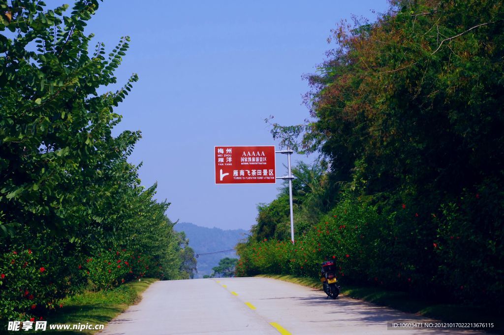 一路风景 5A雁南飞