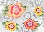 手绘花纹