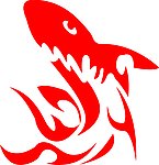 鲨鱼