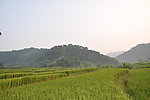田园美景