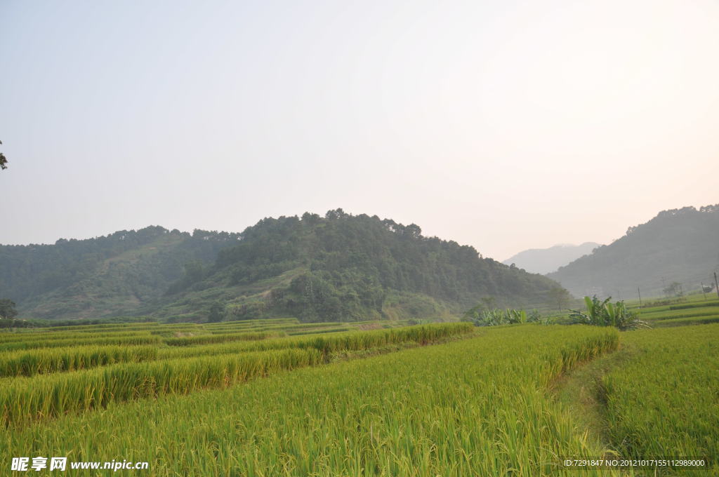 田园美景