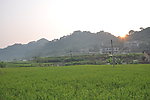 夕阳下的田野