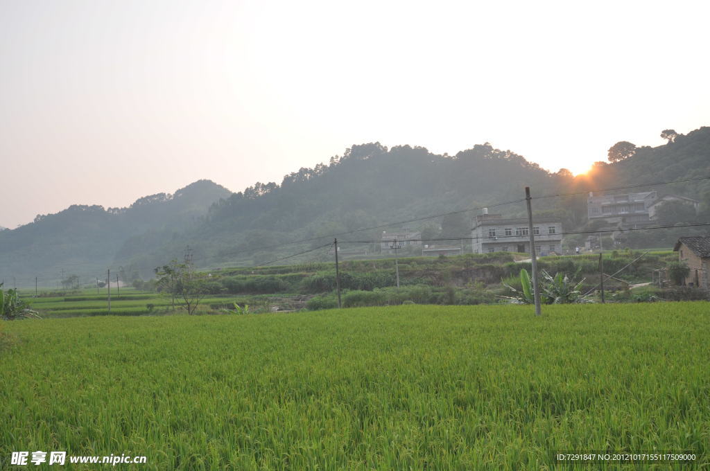 夕阳下的田野