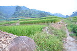 乡间小路