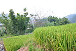 田野风景