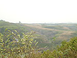 原野(非高清)