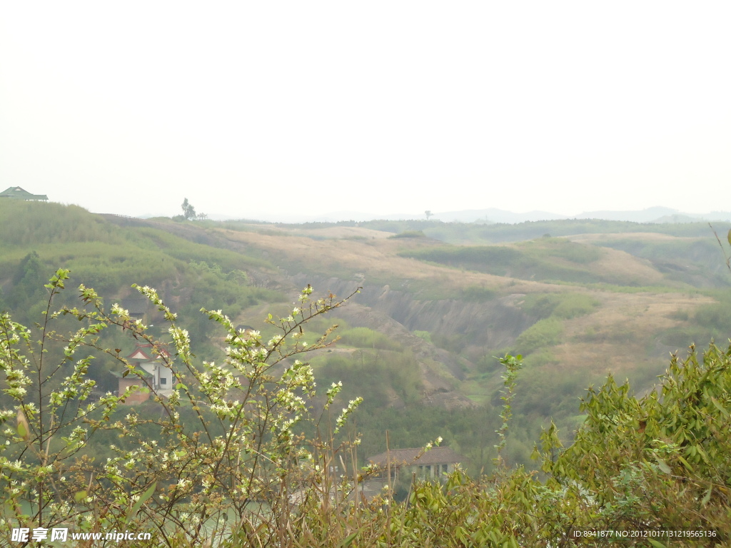 原野(非高清)