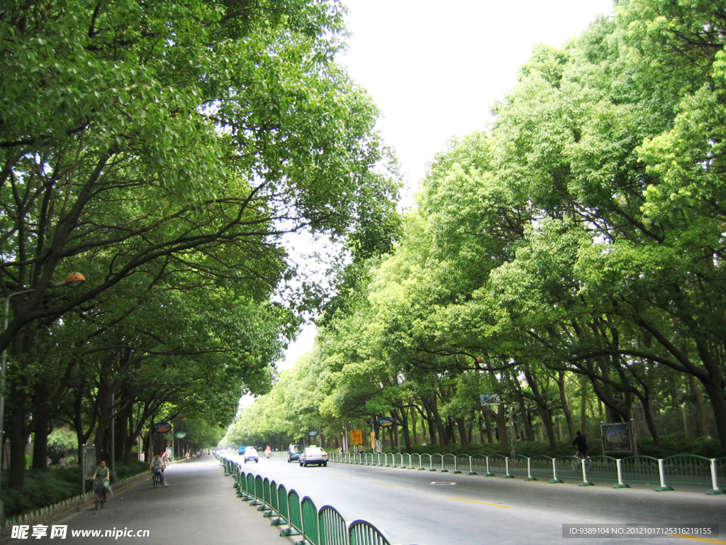 城市马路风景