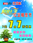 红豆杉促销海报