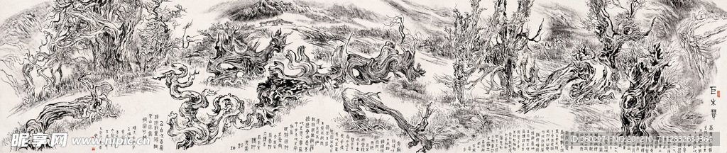 沙漠枯树