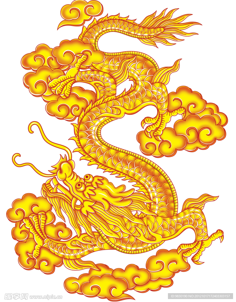 飞龙