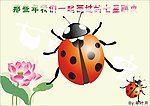 七星瓢虫 小昆虫