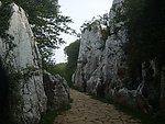 山石小径
