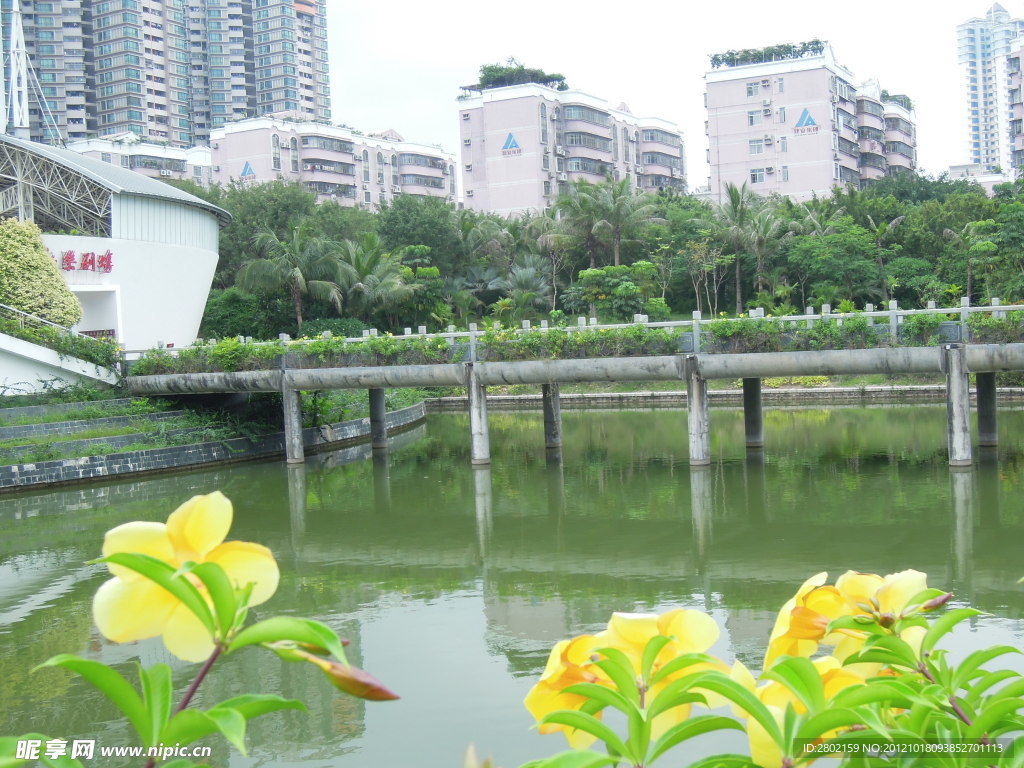 园林风景