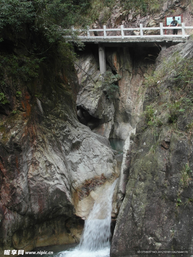 韶关岭南森林美景