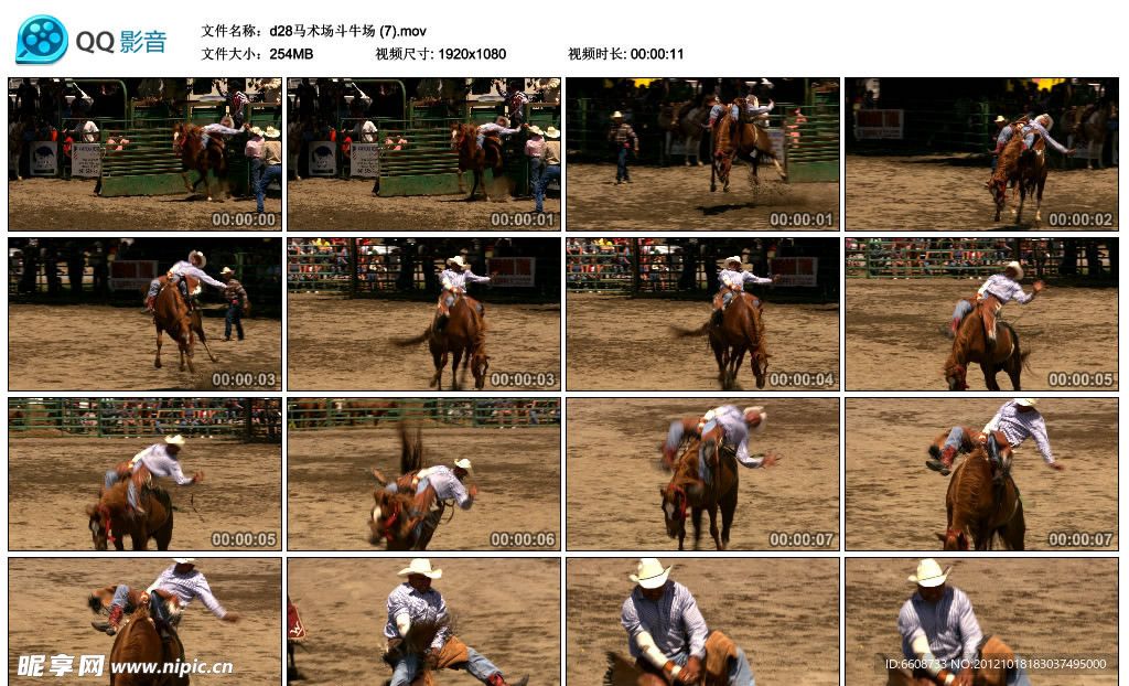 骑马比赛高清实拍视频素材