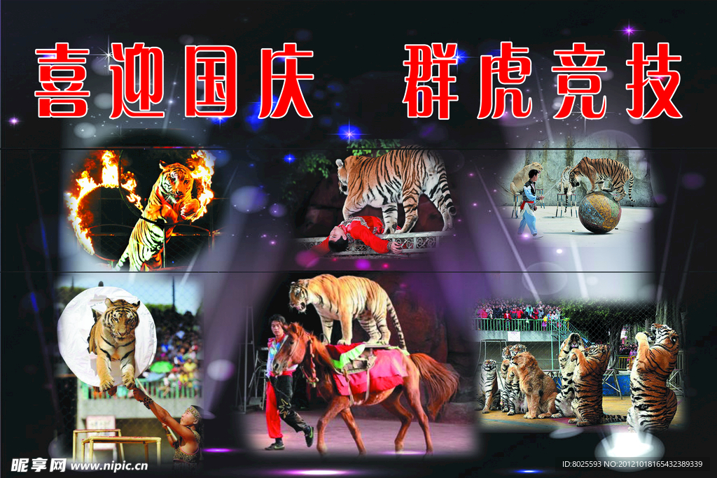 国庆老虎竞技