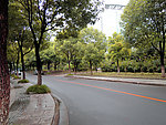 街道