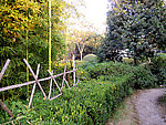 公园 小道