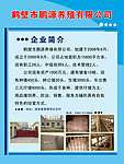 企业简介