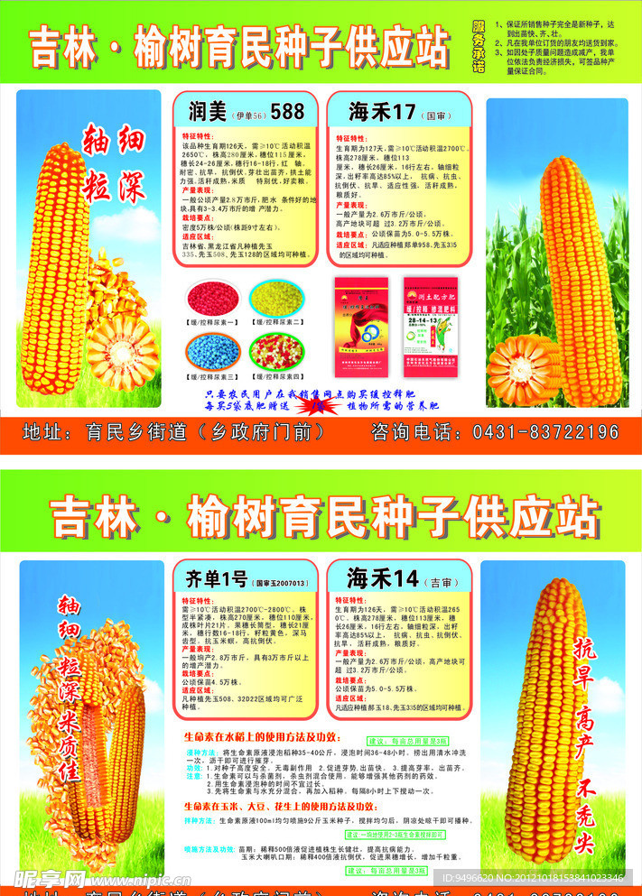 种子宣传单