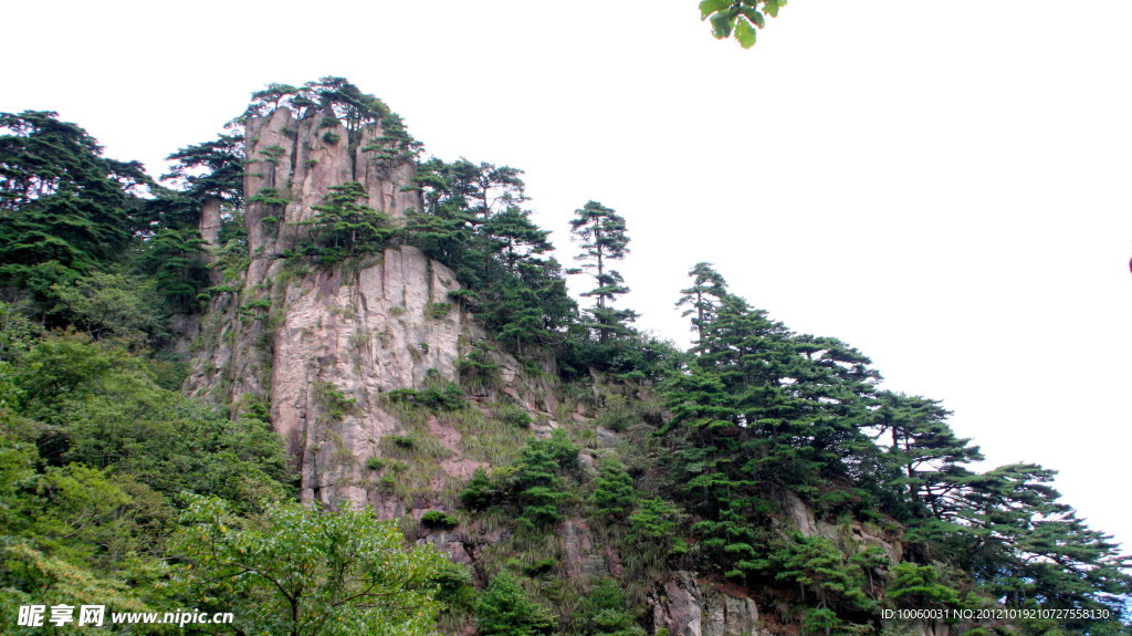 黄山松涛