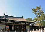 龙兴寺