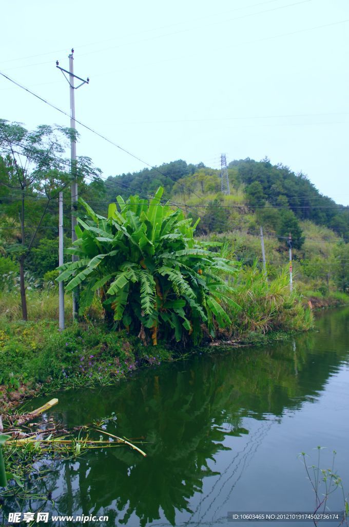 山水田园 水影绿色