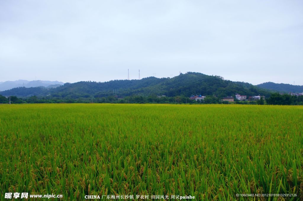 山水风景 田园景观