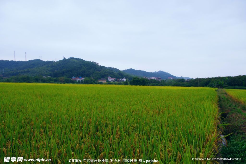 乡村 田园风光