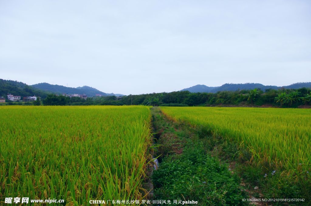 乡村 田园风光