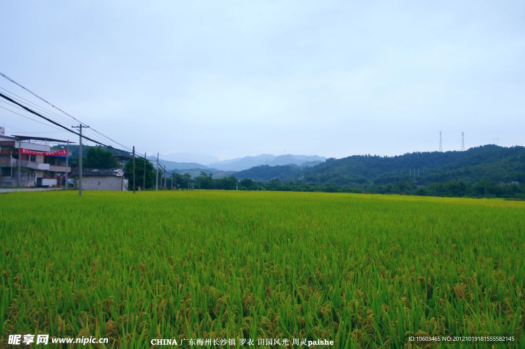 乡村 田园风光