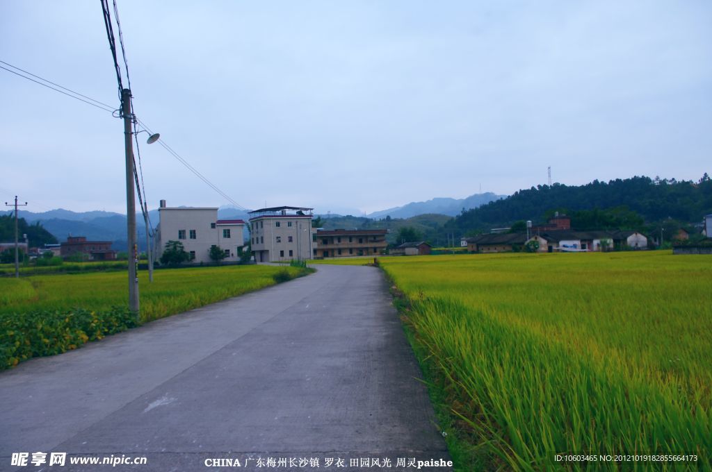 乡村 田园风光